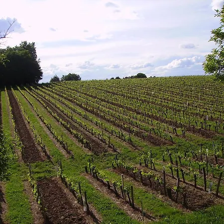 La Vigne Studio Near Saint Emilion 公寓 皮斯甘