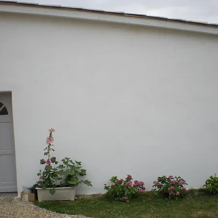 La Vigne Studio Near Saint Emilion 公寓