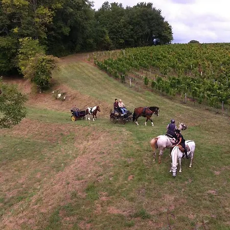 La Vigne Studio Near Saint Emilion 公寓
